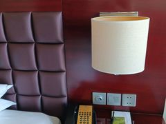 -上海浦东国际旅游度假区绿地铂骊酒店