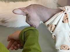 -平行世界·猫咖(首经贸店)
