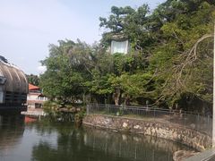 -海上田园