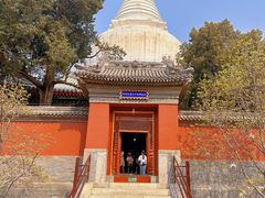 -妙应寺白塔