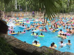 -重庆海昌加勒比海水世界