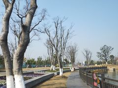 -上海长兴岛郊野公园