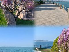 -悦海公园
