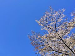 -杭州少年儿童公园