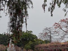 -宝墨园景区