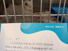 -美联众合动物医院·24h转诊中心