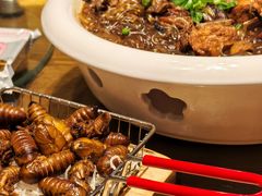 -鸽子窝(青塔店)
