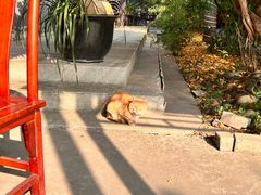 -生宇山珍野生菌汤锅•始于2002(双流古塔店)