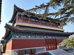 -北京艺术博物馆(万寿寺)