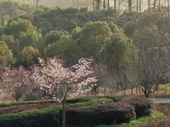 -宁波野生动物园