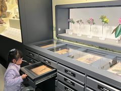 -四川大学博物馆