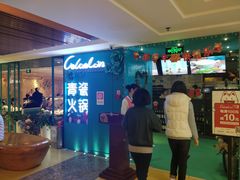 -青瓷火锅料理(西单大悦城店)