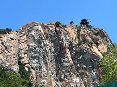 -西霞口神雕山野生动物世界