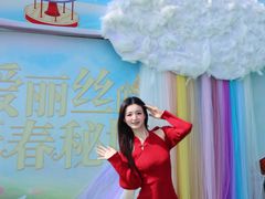 -巨鹏飞梦幻海岸