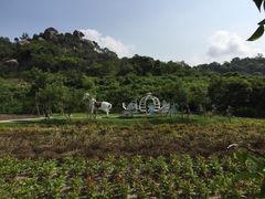 -丹樱生态园