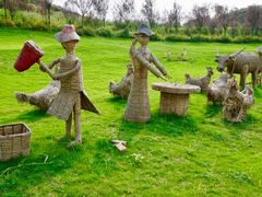 -建华生态湿地百荷园