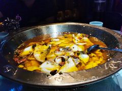 -雲蜀龙阁·金牌水煮鱼(方庄店)