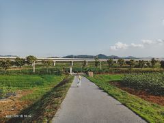 -光明小镇欢乐田园
