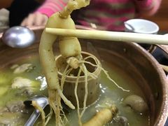-朴小妹人参鸡汤火锅(长白山万达店)