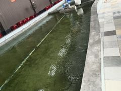 -光头佬室内钓虾场·烧烤·团建·亲子(中山八路店)