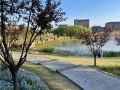 -浙江大学(紫金港校区)