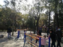 -双秀公园游乐园-欢乐岛