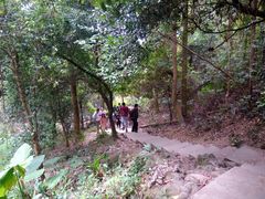 -火炉山森林公园