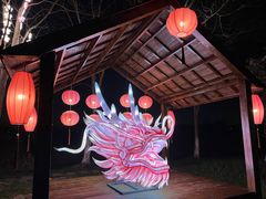 -长田漾湿地公园