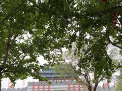 -吴桥杂技大世界