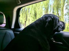 -玉渡山自然风景区