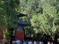 -北京国子监胡同