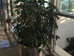 -厦门高崎国际机场-T3航站楼