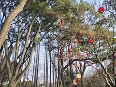 -上海醉白池公园