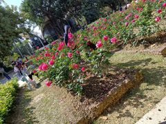 -人民公园(罗湖区)