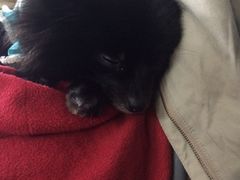 iphone_upload_pic-A+摄影