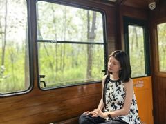 -合肥滨湖国家森林公园