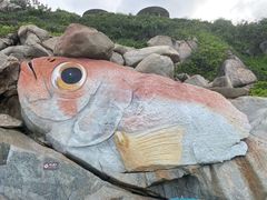 -海南分界洲岛旅游区