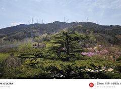 -南山公园