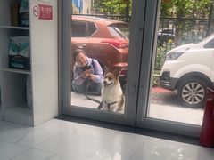 -纳吉亚猫专科动物诊疗中心(蒋宅口分院)