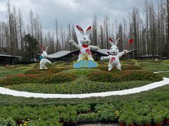 -东平国家森林公园
