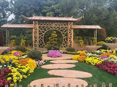 -上海共青森林公园