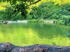 -秦岭终南山世界地质公园翠华山景区