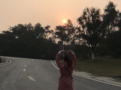 -铁山坪森林公园