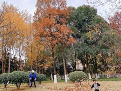 -月湖风景区