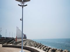 -情人坝酒吧街