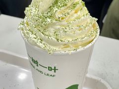 茉莉青龙乌雪山-一树一叶·福建茶档(石鼓路店)