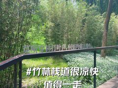 -云溪植物园