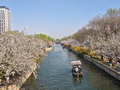 -元大都城垣遗址公园