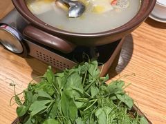 -巴蜀风·地道川菜(总店)