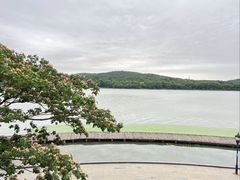 -水上明月·湖景餐厅